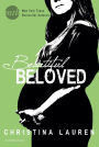 Beautiful Beloved: Novelle