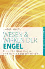 Wesen und Wirken der Engel: Biblische Grundlagen und wahre Begebenheiten