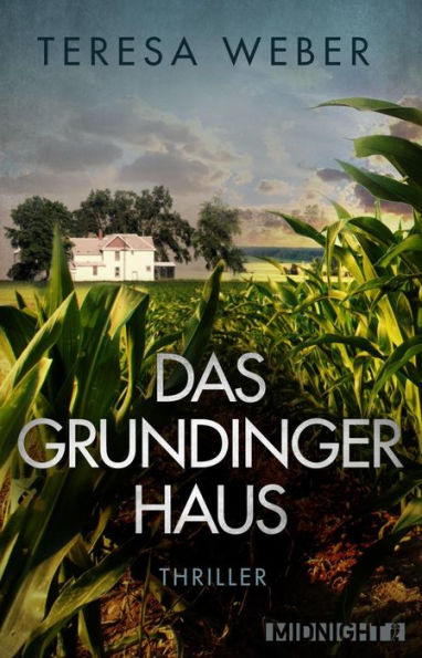 Das Grundinger-Haus: Thriller