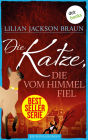 Die Katze, die vom Himmel fiel - Band 28: Die Bestseller-Serie