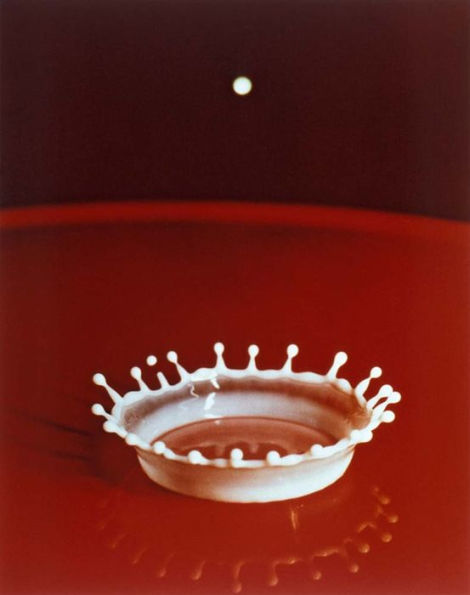 Harold Edgerton: Seeing the Unseen