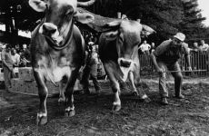 Alternative view 2 of Lee Friedlander: Workers: The Human Clay