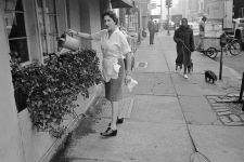 Alternative view 3 of Tod Papageorge: War & Peace in New York: Photographs 1966-1970