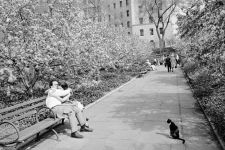 Alternative view 4 of Tod Papageorge: War & Peace in New York: Photographs 1966-1970