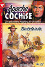 Apache Cochise 22 - Western: Blutsfeinde