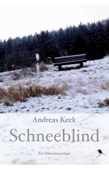 Schneeblind: Ein Patientenroman