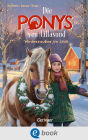 Die Ponys von Lillasund 3. Winterzauber im Stall