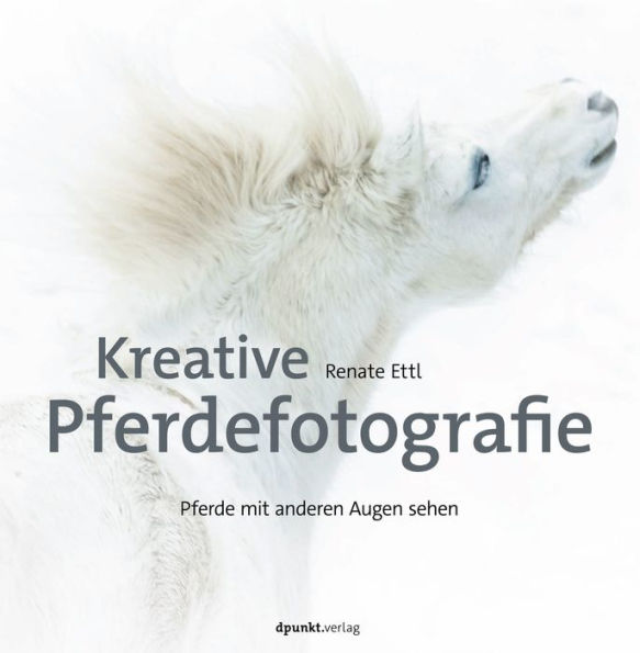 Kreative Pferdefotografie: Pferde mit anderen Augen sehen