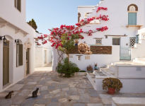 Alternative view 3 of The Cyclades: Greek Island Paradise