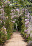 Alternative view 7 of Charming England