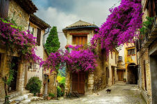 Alternative view 2 of Charming France