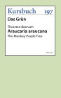 Araucaria Araucana: The Monkey Puzzle Tree