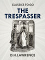 The Trespasser