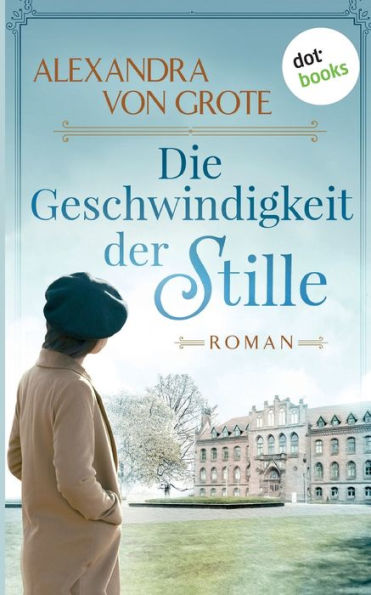 Die Geschwindigkeit der Stille: Roman