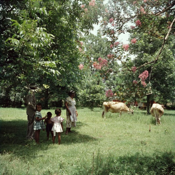 Gordon Parks: Segregation Story