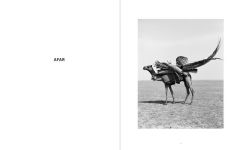 Alternative view 2 of Winfried Bullinger: Pastoralist Homes