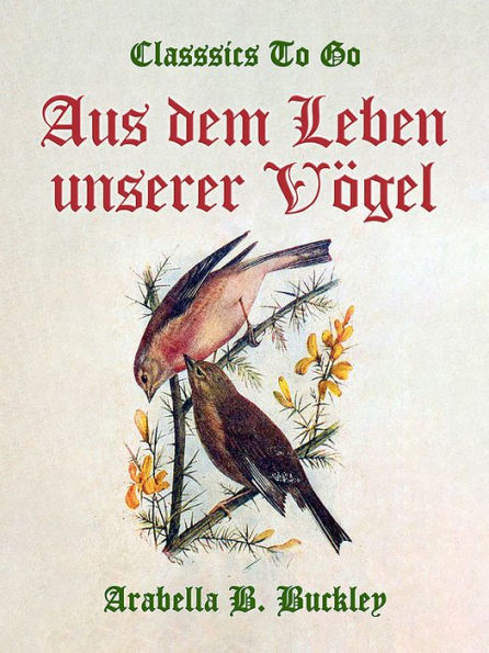 Aus dem Leben unserer Vögel