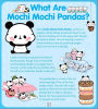 Alternative view 17 of Hello My Name Is Mochi Mochi Panda