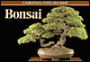 Bonsai Postcard Book