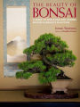 The Beauty of Bonsai: A Guide to Displaying and Viewing Nature's Exquisite Sculpture