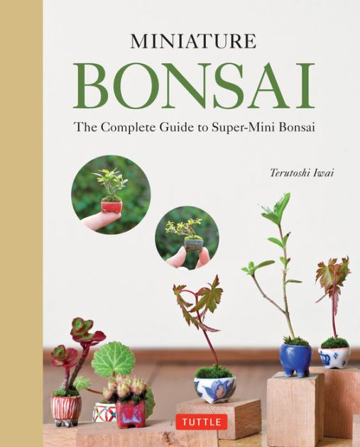 Miniature Bonsai The Complete Guide to SuperMini Bonsai by Terutoshi