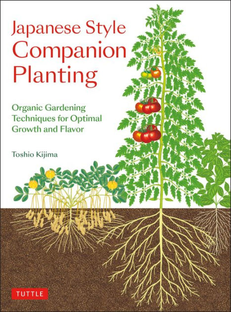 Rhs Encyclopedia of Planting Combinations: Over 4000