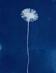 Title: Watercolor flower, Author: Jade Sharman
