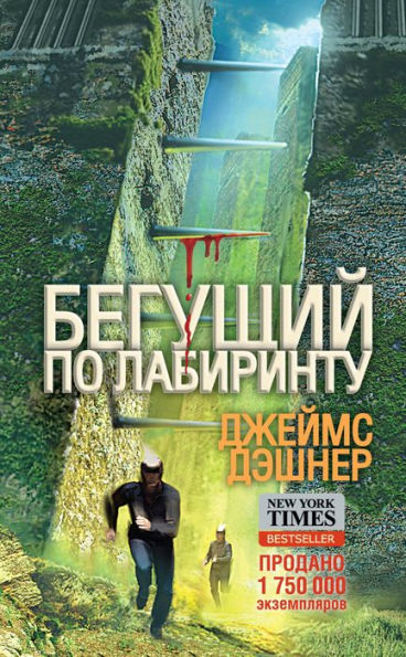 Beguschiy po Labirintu