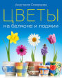 Cvety na balkone i lodzhii