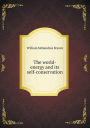 The World-Energy and Its Self-Conservation