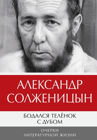 Bodalsya telyonok s dubom. Ocherki literaturnoy zhizni: Tom 1. Novoe izdanie