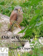 Ode al Woodpigeon - Ovvero come vivere liberi