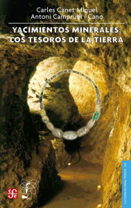 Title: Yacimientos minerales: Los tesoros de la Tierra, Author: Carlos A. Blanco