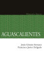Aguascalientes. Historia breve