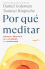 Por qué meditar / Why We Meditate