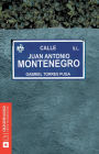 Juan Antonio Montenegro: Un joven eclesiástico en la Inquisición
