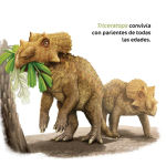 Alternative view 2 of Dinosaurios bebï¿½s
