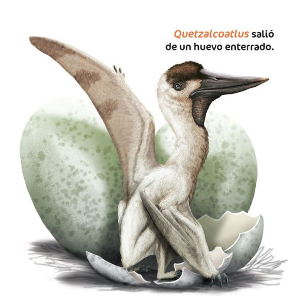 Dinosaurios bebï¿½s