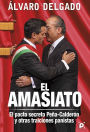 El amasiato.: El pacto secreto Peña-Calderón y otras traiciones panistas