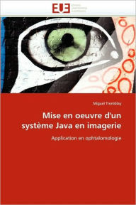 Mise En Oeuvre D'Un Syst Me Java En Imagerie