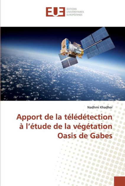 Apport De La Ti Li Di Tection I L I Tude De La Vi Gi Tation Oasis De Gabes By Nadhmi Khadher Paperback Barnes Noble