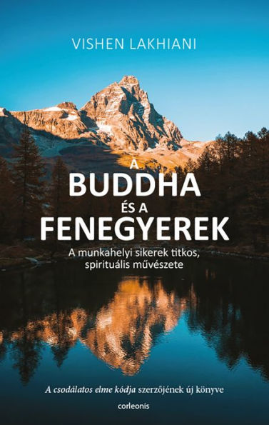 A Buddha és a fenegyerek: A munkahelyi sikerek titkos, spirituális muvészete