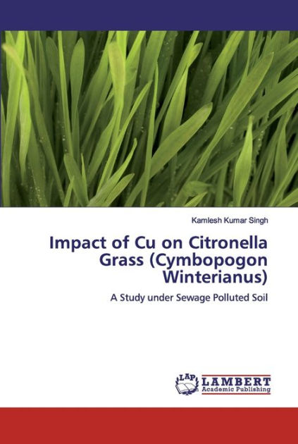 citronella grass