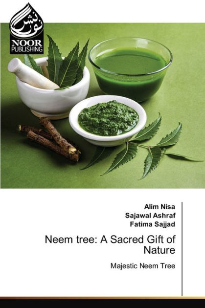 Meaningful Gift. 50 Seeds Neem Tree Seeds Divine Tree Seeds Easy to Seasons