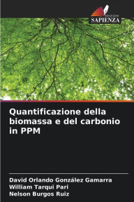 Title: Quantificazione della biomassa e del carbonio in PPM, Author: David Orlando González Gamarra