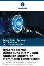Hyperspektrale Bildgebung mit ML und rï¿½umlich-spektralen Merkmalen beherrschen