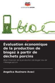 Title: ï¿½valuation ï¿½conomique de la production de biogaz ï¿½ partir de dï¿½chets porcins, Author: Angelica Buzinaro Avaci