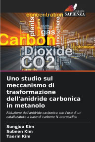Title: Uno studio sul meccanismo di trasformazione dell'anidride carbonica in metanolo, Author: Sungjoo Kim