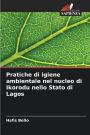 Pratiche di igiene ambientale nel nucleo di Ikorodu nello Stato di Lagos