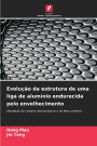 Evoluï¿½ï¿½o da estrutura de uma liga de alumï¿½nio endurecida pelo envelhecimento